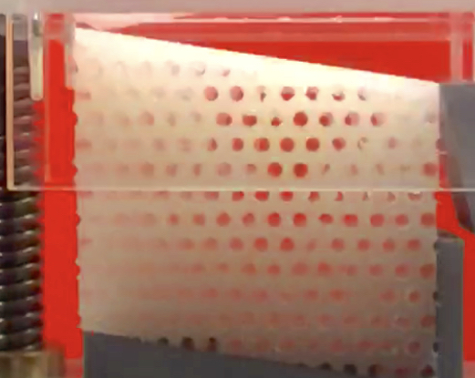 Swallow Simulator (PhD)